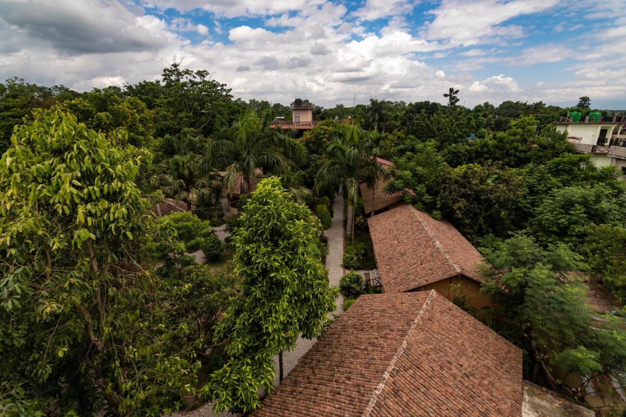 Eden jungle resort Sauraha Exterior foto