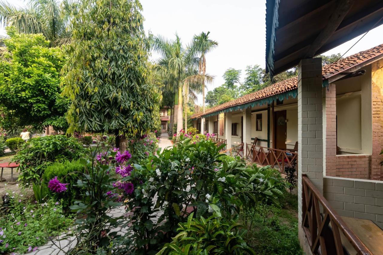 Eden jungle resort Sauraha Exterior foto